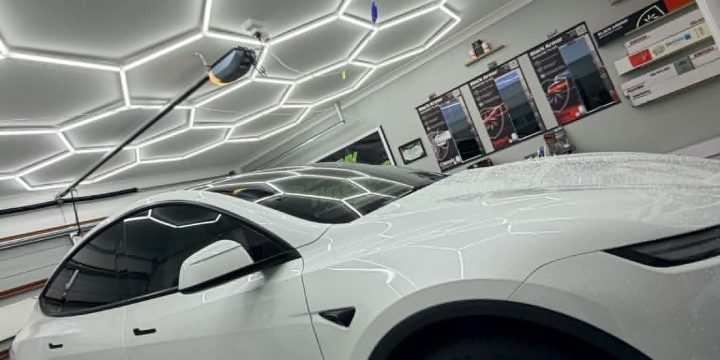 Privacy Glass vs Window Tint